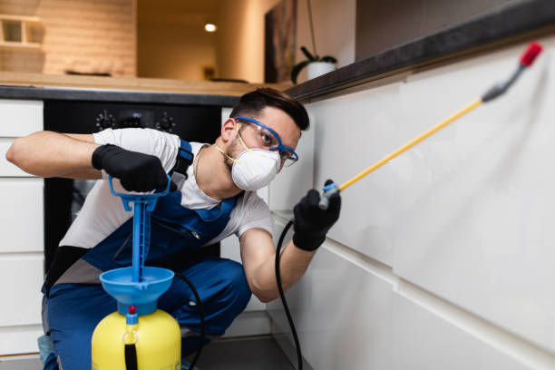 Best Emergency Pest Control  in Bazon, CA