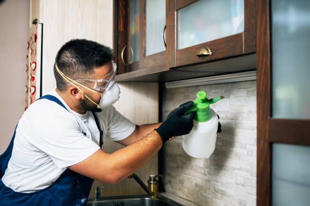 Pest Control for Restaurants in Cabazon, CA