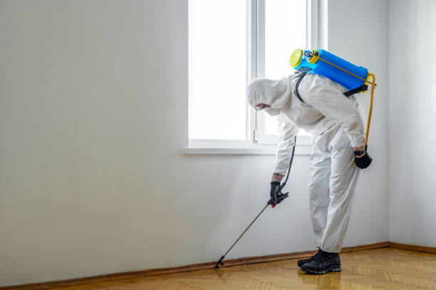 Best Pest Removal Services  in Bazon, CA