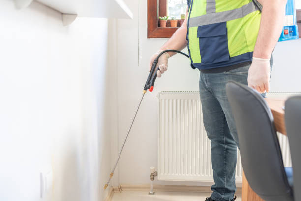 Best Residential Pest Control  in Bazon, CA