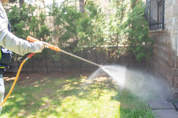 Best Spider Control Near Me  in Bazon, CA