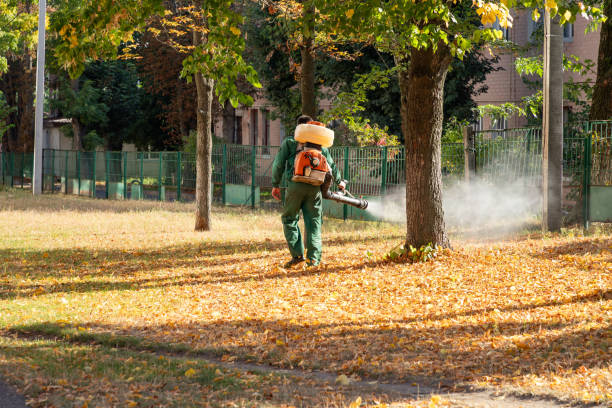 Best Residential Pest Control  in Bazon, CA