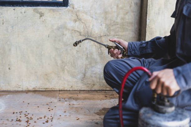 Best Pest Control Treatment  in Bazon, CA